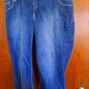 Lane Bryant capri 20